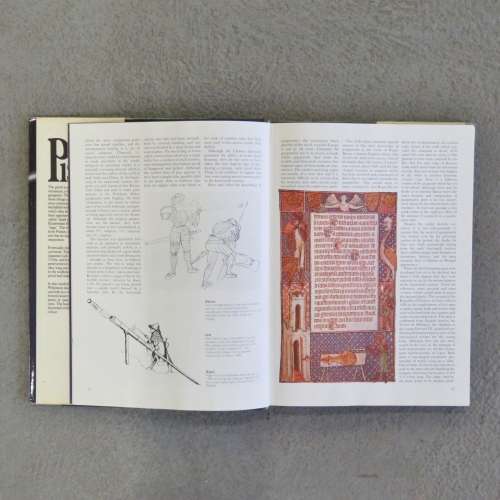 The Illustrated book of Pistols by Frederick Wilkinson
