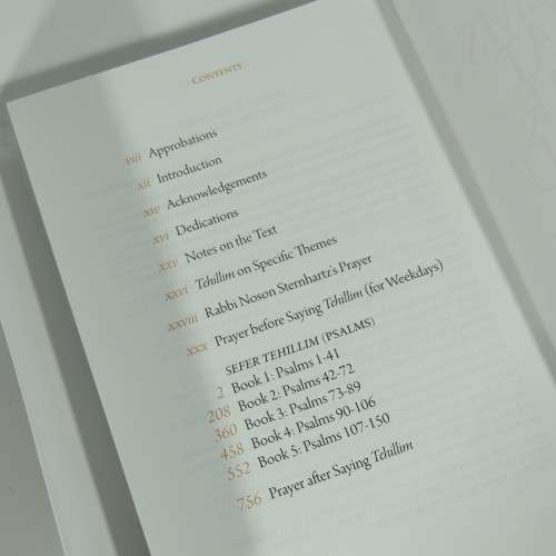Psalms that speak to you - A Clear meaningful translation for our generation