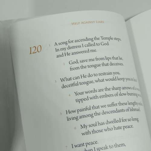 Psalms that speak to you - A Clear meaningful translation for our generation
