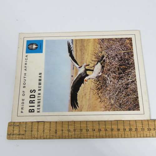 Pride of South Africa  - Birds - Kenneth Newman