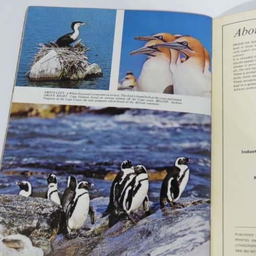 Pride of South Africa  - Birds - Kenneth Newman