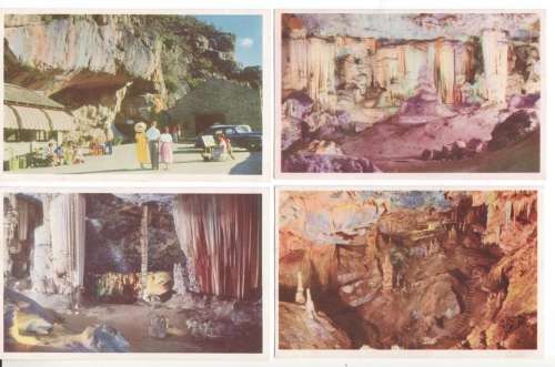 Lot of 4 UNUSED Congo Caves postcards - about 60 years old - Bonus 2 newer ostrich postcards