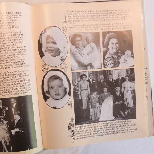 Born to be a King - Prince William of Wales by Trevor Hall