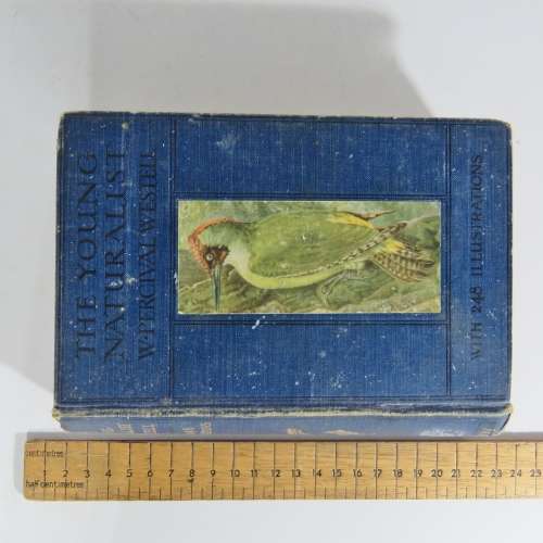 The Young Naturalist - a Guide to British Animal Life by W.Percival Westell