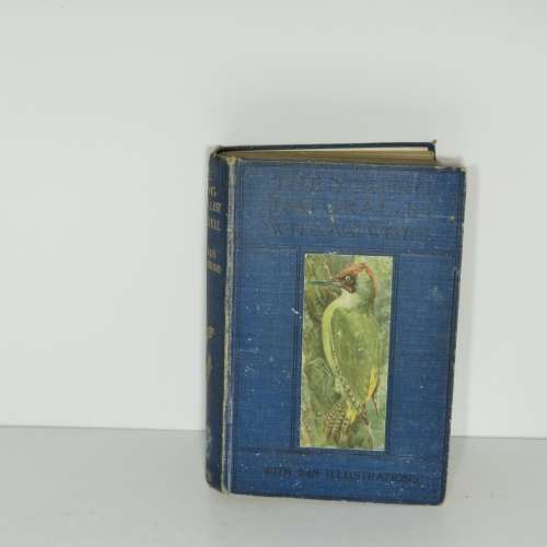 The Young Naturalist - a Guide to British Animal Life by W.Percival Westell