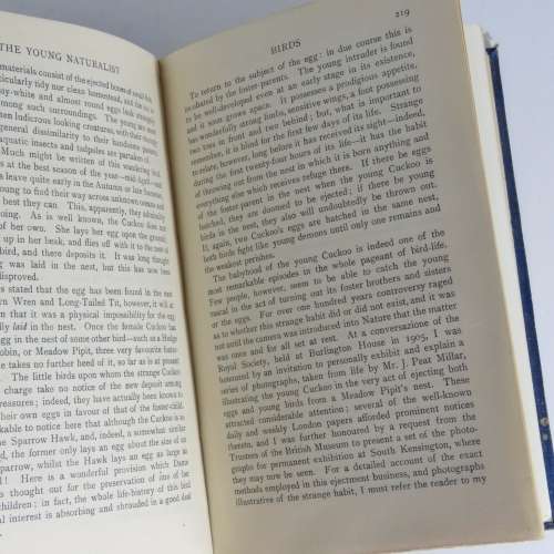 The Young Naturalist - a Guide to British Animal Life by W.Percival Westell
