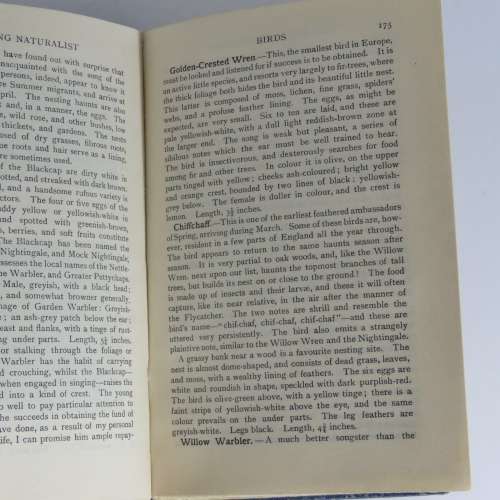 The Young Naturalist - a Guide to British Animal Life by W.Percival Westell