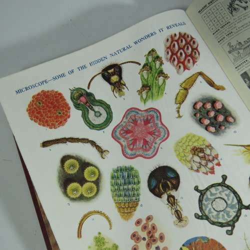 The Pictorial Dictionary by Arthur Mee - Volume 1 to volume 4