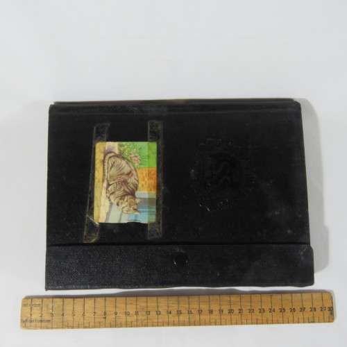 Lot of 380 animal stamps in album - Dogs, cats and other animals
