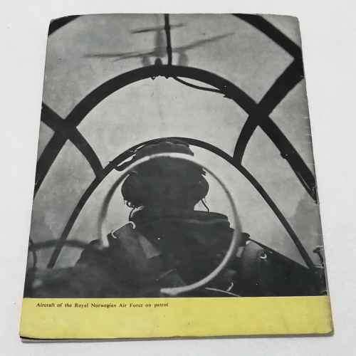 There`s Freedom in the Air - The offical story of the Allied Air Force from the occupied countries