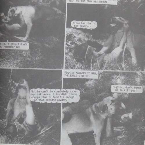 Fotoboekie - Rider (Ruiter in swart) and Eagle (Wit Tier) in Engels - Skaars - Voorblad beskadig