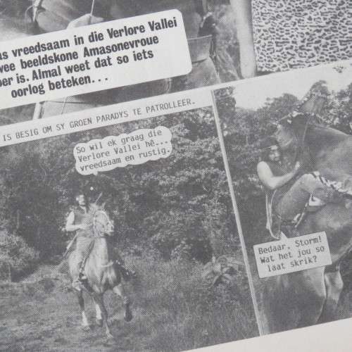 Fotoboekie Dubbel uitgawe no 53 Redelike goeie toestand Arend van die oerwoud and Tanya die vegter