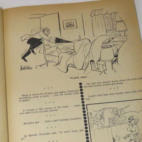 Ha Ha - Funny half hour no 11 adult cartoon and joke book