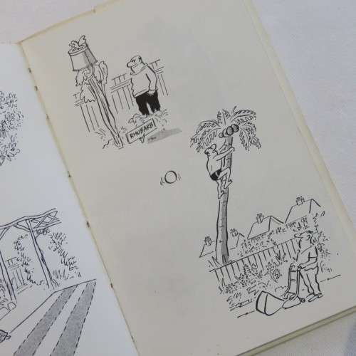 Vintage cartoon books - Son and Hair - The man on the couch - Man in Garden
