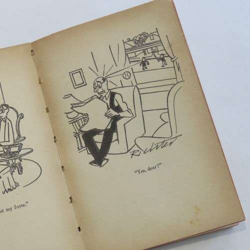 Vintage cartoon books - Son and Hair - The man on the couch - Man in Garden
