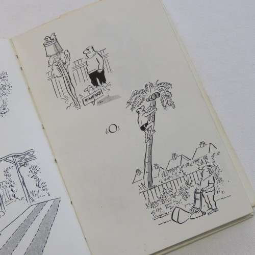 Vintage cartoon books - Son and Hair - The man on the couch - Man in Garden