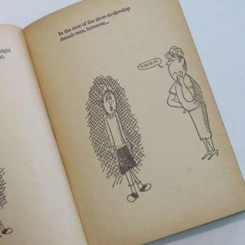 Cartoon book - Squaresville and Flipsville teens guide to adult behavior