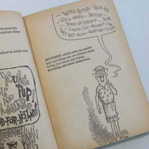 Cartoon book - Squaresville and Flipsville teens guide to adult behavior
