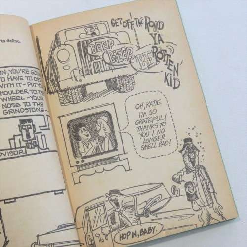 Cartoon book - Squaresville and Flipsville teens guide to adult behavior