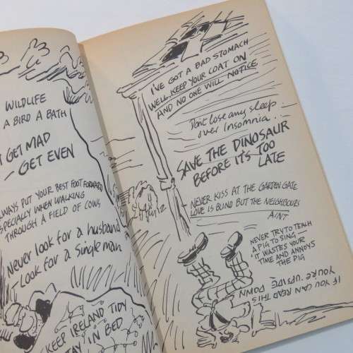 Irish Graffiti vintage book 1983 issue