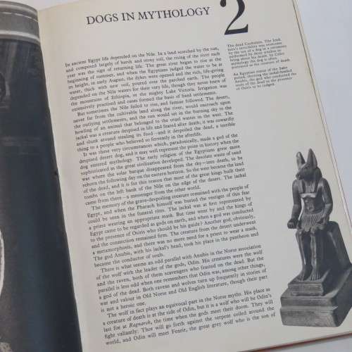 The book of the dog - Paul Hamlyn