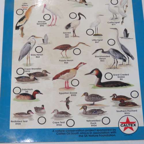 Caltex Rondevlei Nature Reserve Bird identification Guide