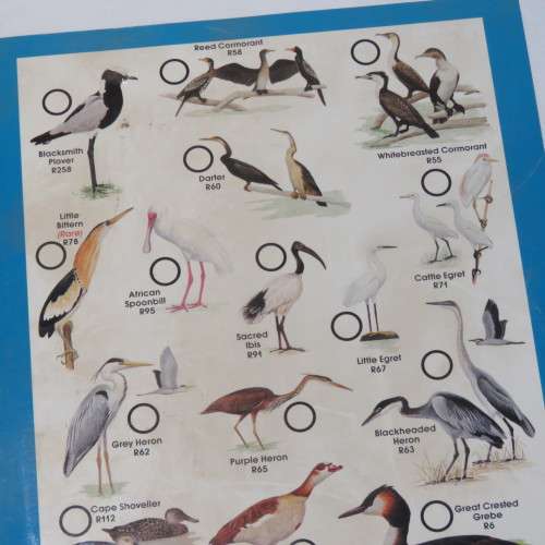 Caltex Rondevlei Nature Reserve Bird identification Guide