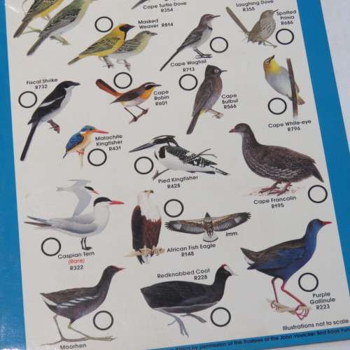 Caltex Rondevlei Nature Reserve Bird identification Guide