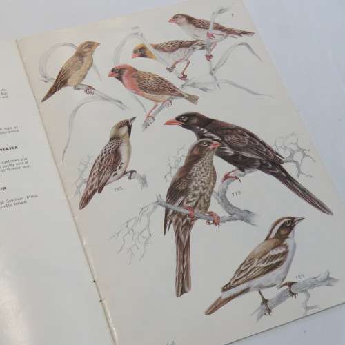 Voëls van die Krugerwildtuin - Vol 1, 3, 4 - Slapband