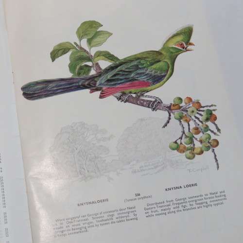 Voëls van die Krugerwildtuin - Vol 1, 3, 4 - Slapband