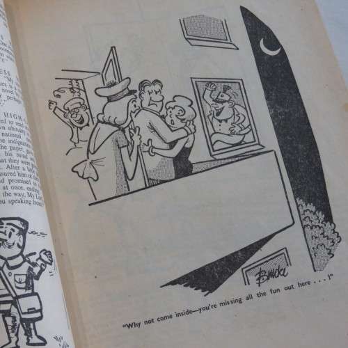 Humour Variety Cartoon and joke book - Vintage