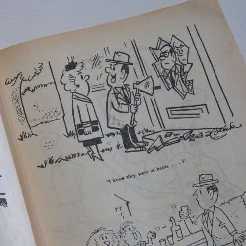 Humour Variety Cartoon and joke book - Vintage