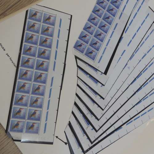 South Africa Natal Kingfisher stamp with double perforation on sheet edge