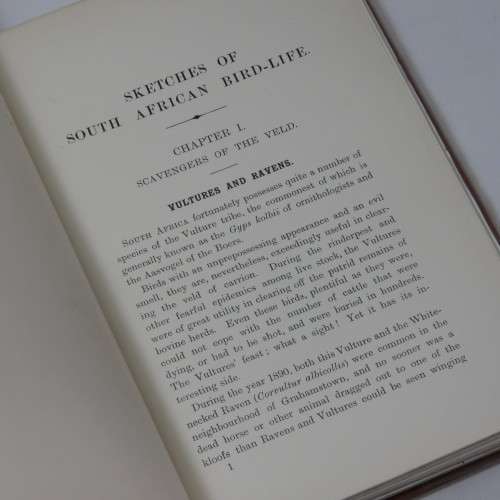 Sketches of South African Bird-life by Haagner and Ivy - 1908 Edition