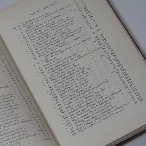 Sketches of South African Bird-life by Haagner and Ivy - 1908 Edition