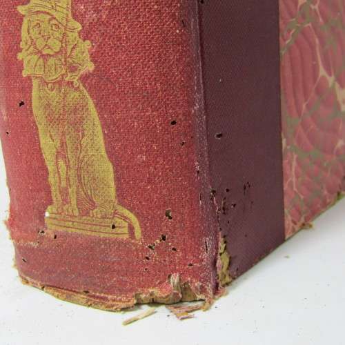 1904 Bound volume of Punch magazine - some damage