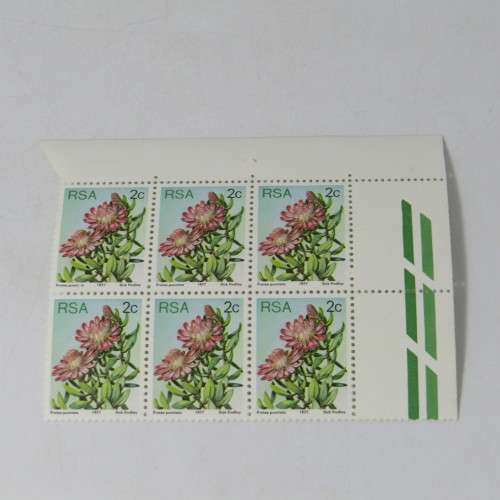 South Africa 2c Protea 1977 SACC 419 - block of 6 with error on top left stamp