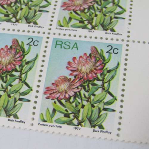 South Africa 2c Protea 1977 SACC 419 - block of 6 with error on top left stamp
