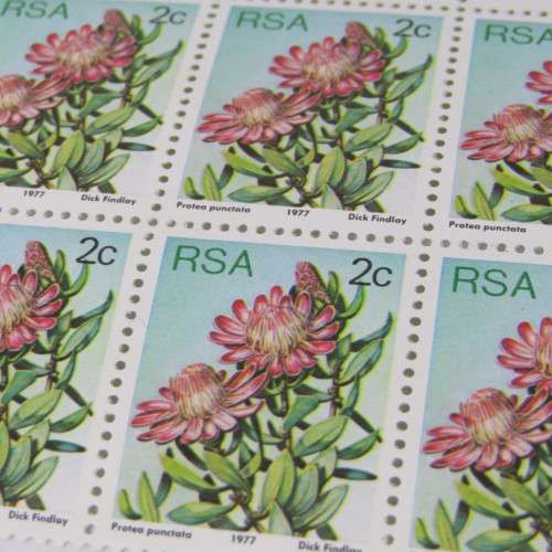 South Africa 2c Protea 1977 SACC 419 - block of 6 with error on top left stamp