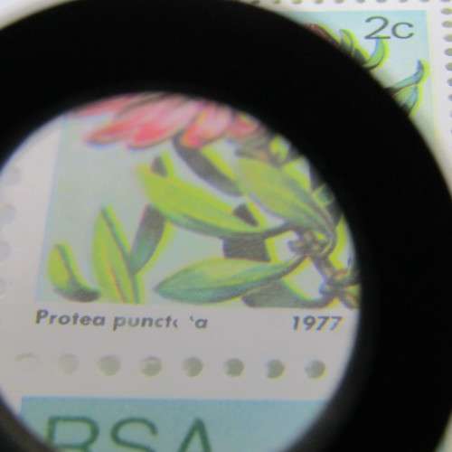 South Africa 2c Protea 1977 SACC 419 - block of 6 with error on top left stamp