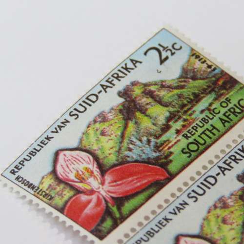 SACC 223 South Africa March 1963 Kirstenbosch Disa stamp 2 1/2 cent
