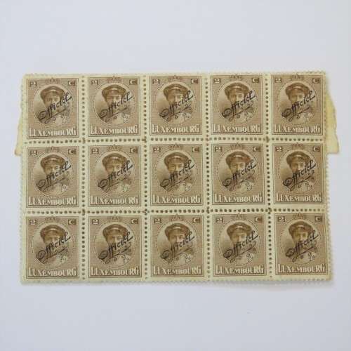 Luxembourg block of 20 x 1921 official stamps 2c plus 5 extra