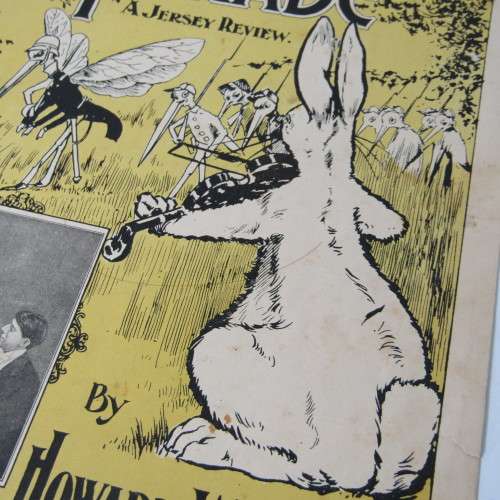 Sheet Music - Antique The Mosquitoes Parade by Howard Whitney - 1900