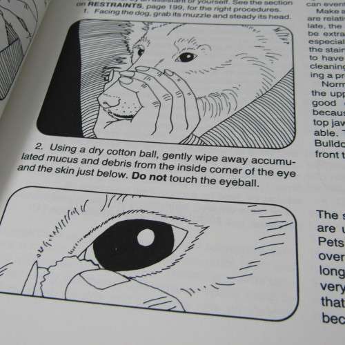 The South Africa Home Pet Vet Guide- DOGS by Martin I Green