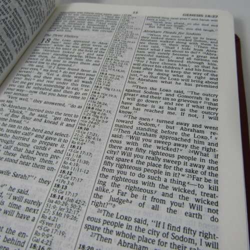 Ultra Thin Reference Bible - 1985 edition