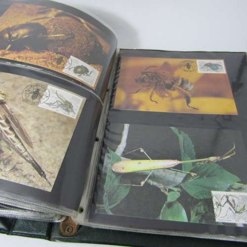 48 Page loose leaf album with more than than 90 South Africa maxi cards