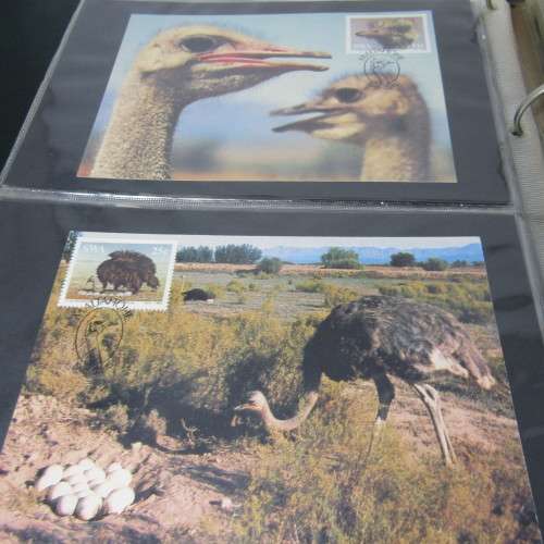 48 Page loose leaf album with more than than 90 South Africa maxi cards