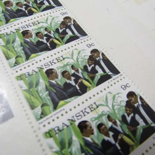 Stamp Album with 57 Transkei control blocks - mint