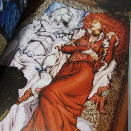 Vertigo Fairest Volume 1 - wide awake - graphic novel