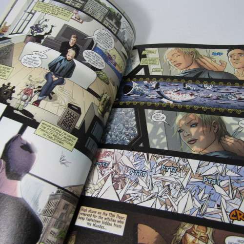 Vertigo Fairest Volume 2 - The Hidden Kingdom - graphic novel